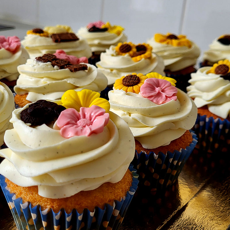 cupcake-theme-tournesol